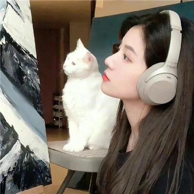 功夫无敌